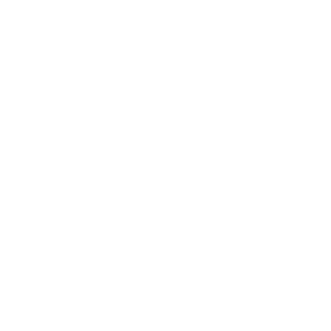 e09