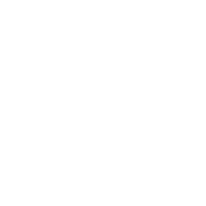 e26